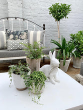 Load image into Gallery viewer, Square Scatter pillow with floral print and fruits, BOLTE Home Textiles Collection