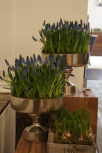 Load image into Gallery viewer, florist london, florist, florist uk, contactless flower delivery, flower delivery, flower delivery uk, home flowers london, event florist london, event florist, event designer london, luxury wedding planner, home interior, luxury event florist london, luxury florist london