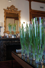 Load image into Gallery viewer, florist london, florist, florist uk, contactless flower delivery, flower delivery, flower delivery uk, home flowers london, event florist london, event florist, event designer london, luxury wedding planner, home interior, luxury event florist london, luxury florist london
