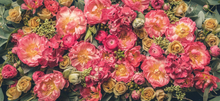 Load image into Gallery viewer, Table Runner (70 cm x 250 cm)