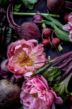 Load image into Gallery viewer, Napkins