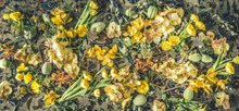 Load image into Gallery viewer, Table Runner (70 cm x 150 cm)