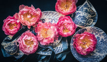 Load image into Gallery viewer, Table Runner (70 cm x 250 cm)